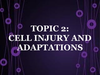 TOPIC 2:
CELL INJURY AND
 ADAPTATIONS
 