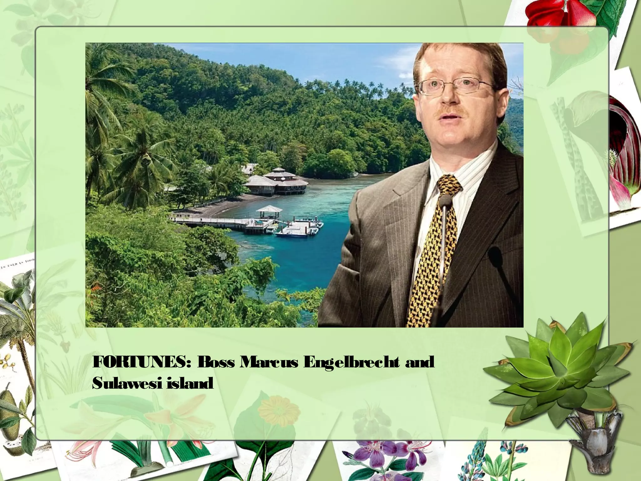 FORTUNES: Boss Marcus Engelbrecht and
Sulawesi island
 