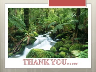 Mid brain by DR.TATHEER