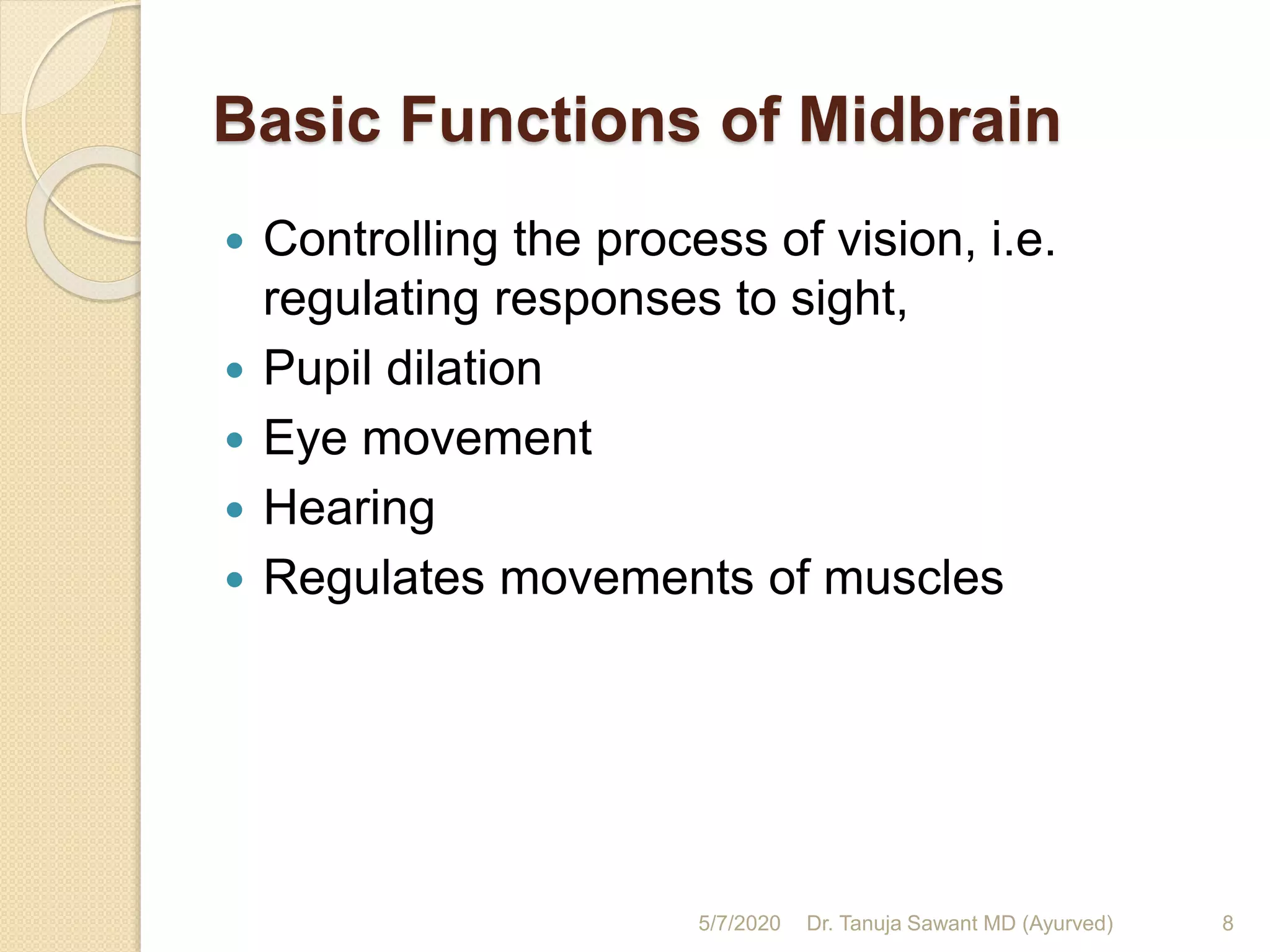 Midbrain | PPTX | Brain and Nervous System Disorders | Diseases and ...