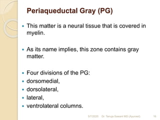 Periaqueductal Gray (PG)
 This matter is a neural tissue that is covered in
myelin.
 As its name implies, this zone contains gray
matter.
 Four divisions of the PG:
 dorsomedial,
 dorsolateral,
 lateral,
 ventrolateral columns.
5/7/2020 16Dr. Tanuja Sawant MD (Ayurved)
 