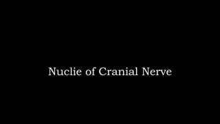 Nuclie of Cranial Nerve
 