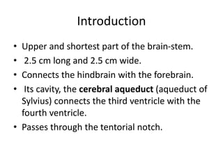 Introduction
• Upper and shortest part of the brain-stem.
• 2.5 cm long and 2.5 cm wide.
• Connects the hindbrain with the forebrain.
• Its cavity, the cerebral aqueduct (aqueduct of
Sylvius) connects the third ventricle with the
fourth ventricle.
• Passes through the tentorial notch.
 