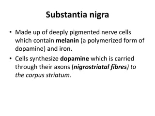 Substantia nigra
• Made up of deeply pigmented nerve cells
which contain melanin (a polymerized form of
dopamine) and iron.
• Cells synthesize dopamine which is carried
through their axons (nigrostriatal fibres) to
the corpus striatum.
 