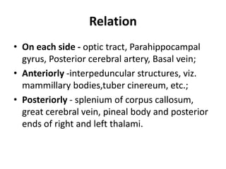Relation
• On each side - optic tract, Parahippocampal
gyrus, Posterior cerebral artery, Basal vein;
• Anteriorly -interpeduncular structures, viz.
mammillary bodies,tuber cinereum, etc.;
• Posteriorly - splenium of corpus callosum,
great cerebral vein, pineal body and posterior
ends of right and left thalami.
 