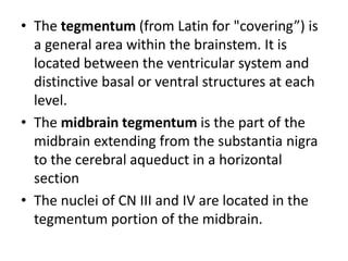 • The tegmentum (from Latin for "covering”) is
a general area within the brainstem. It is
located between the ventricular system and
distinctive basal or ventral structures at each
level.
• The midbrain tegmentum is the part of the
midbrain extending from the substantia nigra
to the cerebral aqueduct in a horizontal
section
• The nuclei of CN III and IV are located in the
tegmentum portion of the midbrain.

 