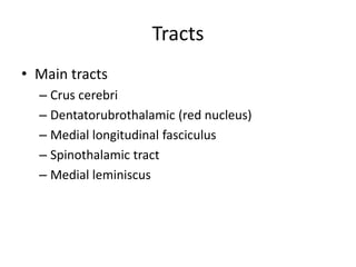 Tracts
• Main tracts
– Crus cerebri
– Dentatorubrothalamic (red nucleus)
– Medial longitudinal fasciculus
– Spinothalamic tract
– Medial leminiscus

 