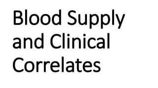 Blood Supply
and Clinical
Correlates
 