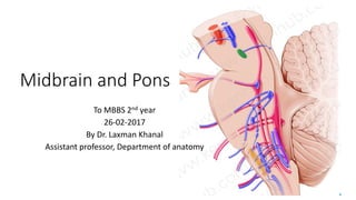 Midbrain and Pons
To MBBS 2nd year
26-02-2017
By Dr. Laxman Khanal
Assistant professor, Department of anatomy
 