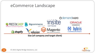 eCommerce Landscape
18
Size (of company and target client)
© 2015 Digital Bridge Solutions, LLC
 