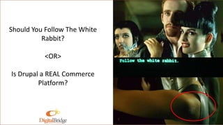 Should You Follow The White
Rabbit?
<OR>
Is Drupal a REAL Commerce
Platform?
 