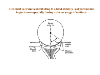 Management of Shoulder dislocations and shoulder instability in sports ...