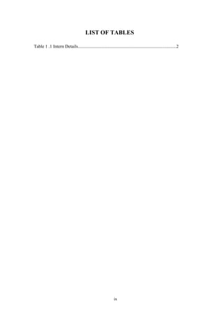 internship project report