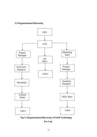 internship project report