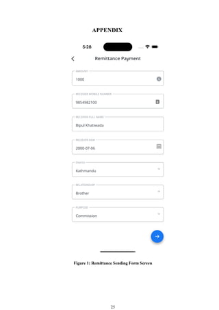 internship project report