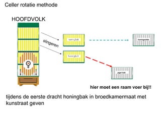 Celler rotatie methode HOOFDVOLK slingeren honingzolder jager-bak hier moet een raam voer bij!! tijdens de eerste dracht honingbak in broedkamermaat met kunstraat geven 
