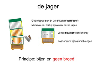 de jager Principe: bijen en  geen broed Jonge  bevruchte  moer erbij naar andere bijenstand brengen Geslingerde bak 24 uur boven  moerrooster   Met rook ca. 1,5 kg bijen naar boven jagen 