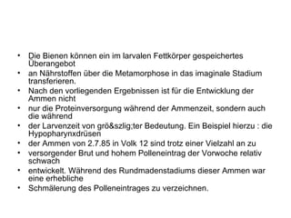 Die Bienen können ein im larvalen Fettkörper gespeichertes Überangebot an Nährstoffen über die Metamorphose in das imaginale Stadium transferieren. Nach den vorliegenden Ergebnissen ist für die Entwicklung der Ammen nicht nur die Proteinversorgung während der Ammenzeit, sondern auch die während der Larvenzeit von grö&szlig;ter Bedeutung. Ein Beispiel hierzu : die Hypopharynxdrüsen der Ammen von 2.7.85 in Volk 12 sind trotz einer Vielzahl an zu versorgender Brut und hohem Polleneintrag der Vorwoche relativ schwach entwickelt. Während des Rundmadenstadiums dieser Ammen war eine erhebliche Schmälerung des Polleneintrages zu verzeichnen. 