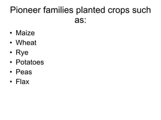Pioneer families planted crops such as: Maize Wheat Rye Potatoes Peas Flax