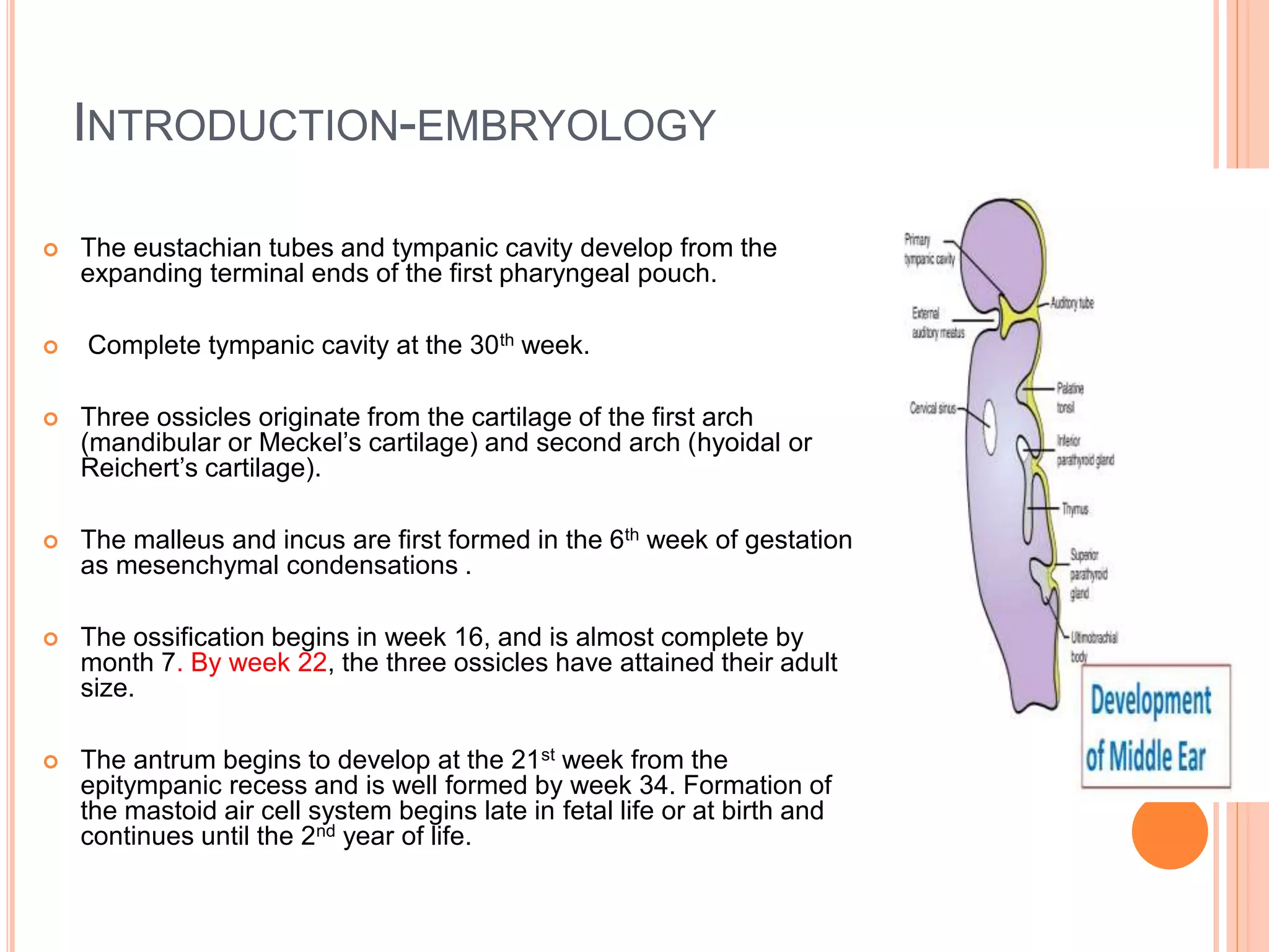 Early Fas Detection:  The Importance Of Recognizing Ear Anomalies - ufrl80l