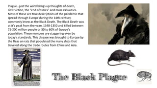 Plague…just the word brings up thoughts of death,
destruction, the “end of times” and mass casualties.
Most of these are true descriptions of the pandemic that
spread through Europe during the 14th century,
commonly know as the Black Death. The Black Death was
at it’s peak from the years 1348-1350 and killed between
75-200 million people or 30 to 60% of Europe’s
population. These numbers are staggering even by
today’s standards. This disease was brought to Europe by
the fleas on rats that populated the many ships that
traveled along the trade routes from China and Asia.
 