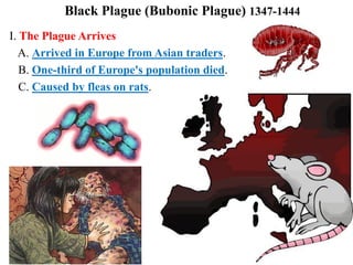 Black Plague (Bubonic Plague) 1347-1444
I. The Plague Arrives
A. Arrived in Europe from Asian traders.
B. One-third of Europe's population died.
C. Caused by fleas on rats.
 