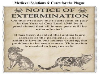 Medieval Solutions & Cures for the Plague
 