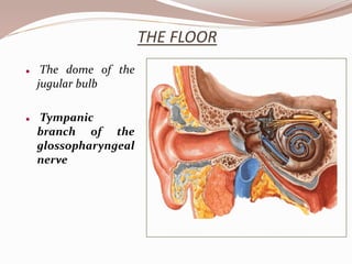 THE FLOOR
 The dome of the
jugular bulb
 Tympanic
branch of the
glossopharyngeal
nerve
 