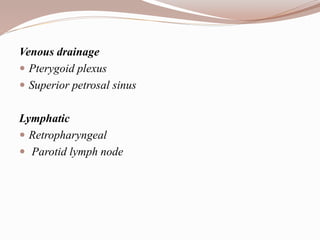 Venous drainage
 Pterygoid plexus
 Superior petrosal sinus
Lymphatic
 Retropharyngeal
 Parotid lymph node
 