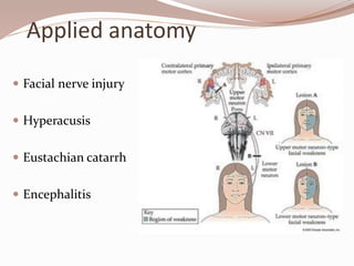 Applied anatomy
 Facial nerve injury
 Hyperacusis
 Eustachian catarrh
 Encephalitis
 