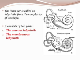  The inner ear is called as
labyrinth, from the complexity
of its shape.
 It consists of two parts:
1. The osseous labyrinth
2. The membranous
labyrinth
 