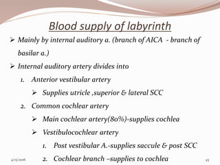 Blood supply of labyrinth
 Mainly by internal auditory a. (branch of AICA - branch of
basilar a.)
 Internal auditory artery divides into
1. Anterior vestibular artery
 Supplies utricle ,superior & lateral SCC
2. Common cochlear artery
 Main cochlear artery(80%)-supplies cochlea
 Vestibulocochlear artery
1. Post vestibular A.-supplies saccule & post SCC
2. Cochlear branch –supplies to cochlea4/15/2016 43
 