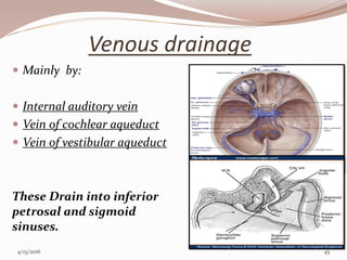 Venous drainage
 Mainly by:
 Internal auditory vein
 Vein of cochlear aqueduct
 Vein of vestibular aqueduct
These Drain into inferior
petrosal and sigmoid
sinuses.
4/15/2016 45
 