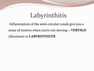Labyrinthitis
Inflammation of the semi-circular canals give you a
sense of motion when you’re not moving = VERTIGO
(dizziness) or LABYRINTHITIS
 