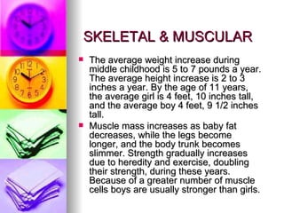 SKELETAL & MUSCULAR The average weight increase during middle childhood is 5 to 7 pounds a year. The average height increase is 2 to 3 inches a year. By the age of 11 years, the average girl is 4 feet, 10 inches tall, and the average boy 4 feet, 9 1/2 inches tall. Muscle mass increases as baby fat decreases, while the legs become longer, and the body trunk becomes slimmer. Strength gradually increases due to heredity and exercise, doubling their strength, during these years. Because of a greater number of muscle cells boys are usually stronger than girls. 