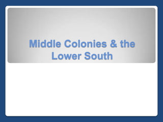 Middle Colonies & the Lower South 