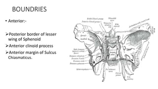 BOUNDRIES
• Anterior:-
Posterior border of lesser
wing of Sphenoid
Anterior clinoid process
Anterior margin of Sulcus
Chiasmaticus.
 