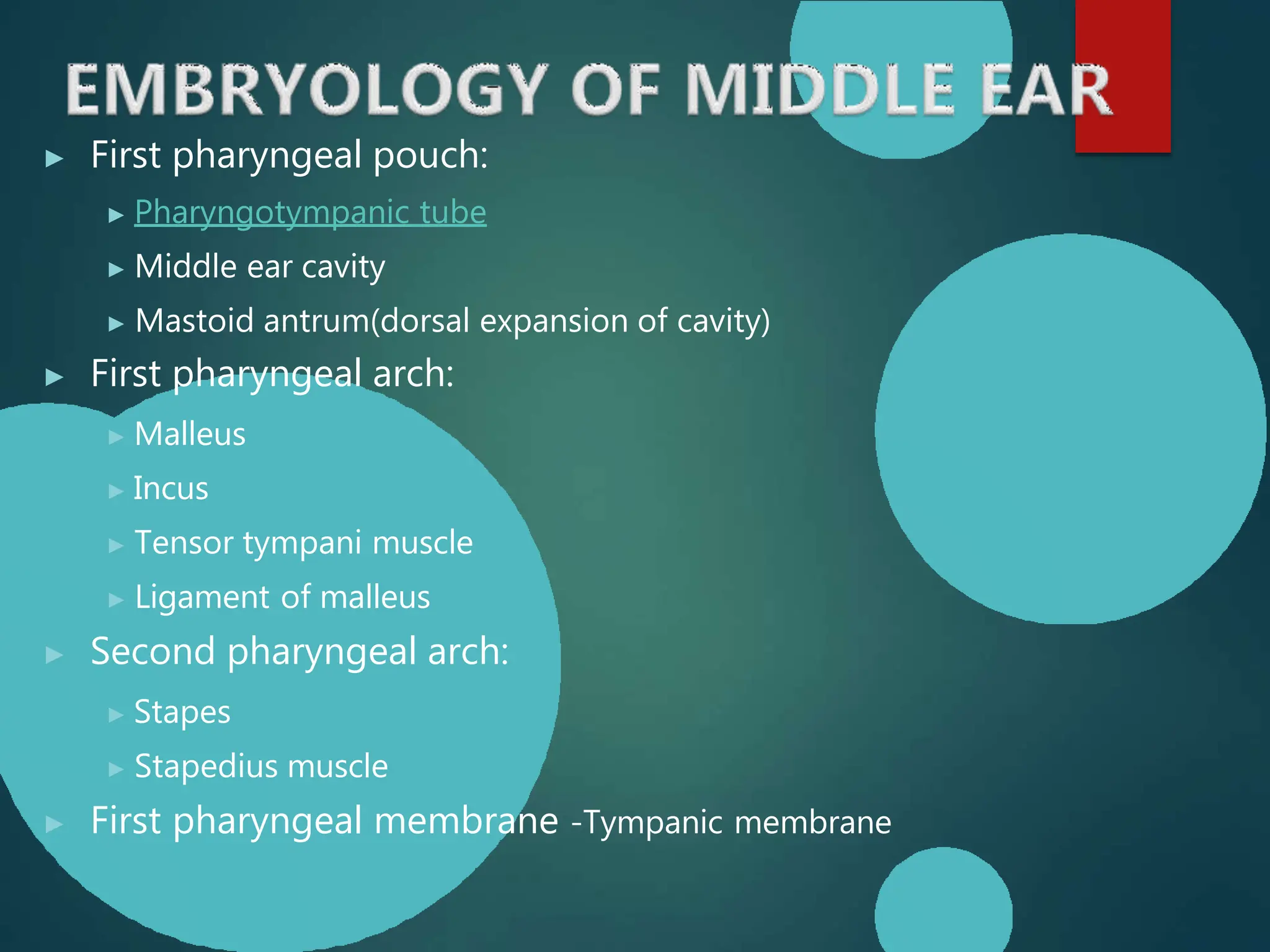 Anatomy of middle ear , ent presentation | PPTX