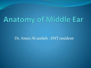 Dr. Amro Al-amleh : ENT resident
 