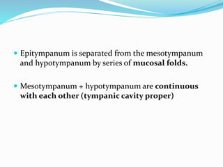  Epitympanum is separated from the mesotympanum
and hypotympanum by series of mucosal folds.
 Mesotympanum + hypotympanum are continuous
with each other (tympanic cavity proper)
 