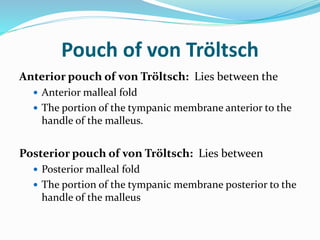 Pouch of von Tröltsch
Anterior pouch of von Tröltsch: Lies between the
 Anterior malleal fold
 The portion of the tympanic membrane anterior to the
handle of the malleus.
Posterior pouch of von Tröltsch: Lies between
 Posterior malleal fold
 The portion of the tympanic membrane posterior to the
handle of the malleus
 