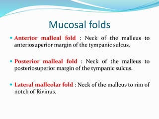 Mucosal folds
 Anterior malleal fold : Neck of the malleus to
anteriosuperior margin of the tympanic sulcus.
 Posterior malleal fold : Neck of the malleus to
posteriosuperior margin of the tympanic sulcus.
 Lateral malleolar fold : Neck of the malleus to rim of
notch of Rivinus.
 