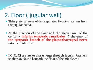 2. Floor ( jugular wall)
 Thin plate of bone which separates Hypotympanum from
the jugular Fossa.
 At the junction of the floor and the medial wall of the
cavity  inferior tympanic canaliculus  the entry of
the tympanic branch of the glossopharyngeal nerve
into the middle ear.
 IX, X, XI are nerve that emerge through jugular foramen,
so they are found beneath the floor of the middle ear.
 