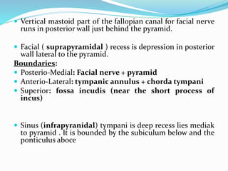  Vertical mastoid part of the fallopian canal for facial nerve
runs in posterior wall just behind the pyramid.
 Facial ( suprapyramidal ) recess is depression in posterior
wall lateral to the pyramid.
Boundaries:
 Posterio-Medial: Facial nerve + pyramid
 Anterio-Lateral: tympanic annulus + chorda tympani
 Superior: fossa incudis (near the short process of
incus)
 Sinus (infrapyranidal) tympani is deep recess lies mediak
to pyramid . It is bounded by the subiculum below and the
ponticulus aboce
 