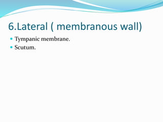 6.Lateral ( membranous wall)
 Tympanic membrane.
 Scutum.
 