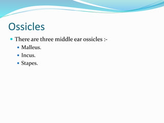 Ossicles
 There are three middle ear ossicles :-
 Malleus.
 Incus.
 Stapes.
 