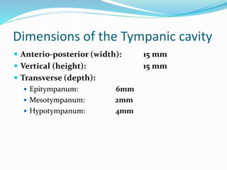 Dimensions of the Tympanic cavity
 Anterio-posterior (width): 15 mm
 Vertical (height): 15 mm
 Transverse (depth):
 Epitympanum: 6mm
 Mesotympanum: 2mm
 Hypotympanum: 4mm
 