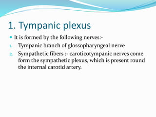 1. Tympanic plexus
 It is formed by the following nerves:-
1. Tympanic branch of glossopharyngeal nerve
2. Sympathetic fibers :- caroticotympanic nerves come
form the sympathetic plexus, which is present round
the internal carotid artery.
 