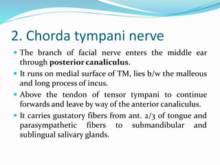 2. Chorda tympani nerve
 The branch of facial nerve enters the middle ear
through posterior canaliculus.
 It runs on medial surface of TM, lies b/w the malleous
and long process of incus.
 Above the tendon of tensor tympani to continue
forwards and leave by way of the anterior canaliculus.
 It carries gustatory fibers from ant. 2/3 of tongue and
parasympathetic fibers to submandibular and
sublingual salivary glands.
 