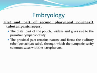 Embryology
First and part of second pharyngeal pouches
tubotympanic recess .
 The distal part of the pouch,, widens and gives rise to the
primitive tympanic cavity
 The proximal part remains narrow and forms the auditory
tube (eustachian tube), through which the tympanic cavity
communicates with the nasopharynx.
 